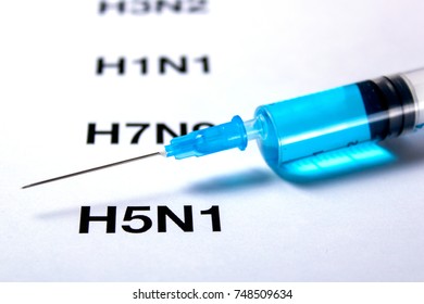 30 Influenza A Virus Subtype H5n1 Images, Stock Photos & Vectors 