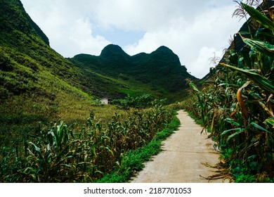 Ha Giang Loop, North Vietnam 