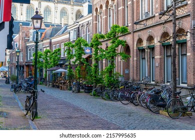 Haarlem, the Netherlands, March 2022: Cozy city house in Haarlem in the Netherlands with lots of pots, plants and a chair in front. Concept: city temperature or water management control