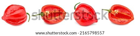 Habanero chili red hot pepper isolated on white background. clipping path