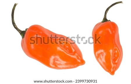 Habanero chili red, yellow, Green hot pepper isolated on white background. 