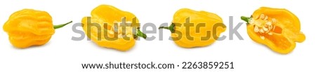 Habanero chili yellow hot pepper isolated on white background. clipping path