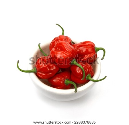 Habanero chilis isolated on white background. Fresh ripe Caribbean Red Habanero hot chili pepper with green stem. 