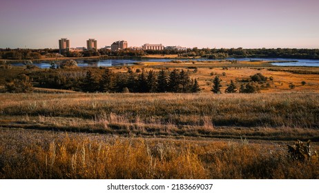 Habitat Conservation Prairie Area And Cityscape In Regina, Canada