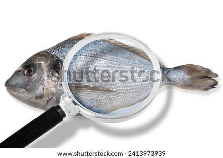 HACCP (Hazard Analysis and Critical Control Points) - Food Safety and Quality Control in 
food industry - concept with fresh gilthead bream fish on white background