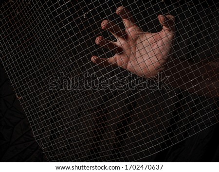 Image, Stock Photo wetted feet Fishing net