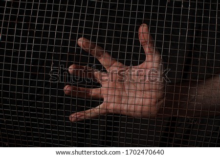 Similar – Image, Stock Photo wetted feet Fishing net