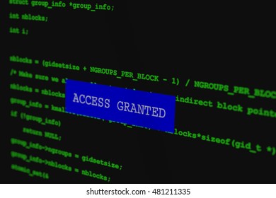 Hacker types on screen: Access granted
