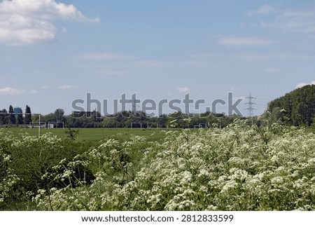 Hackney Marshes is a large open-space area in London’s Lower Lea Valley on the western bank of the River Lea. It is especially well known for Sunday league football, with many full-size pitches marked out across the marshes.