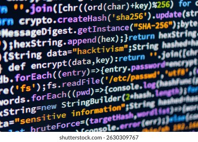 Hacktivism. Close-up image of a Java code snippet on a computer screen, involving cryptographic operations or data security measures The dense text is visually differentiated, with color variations