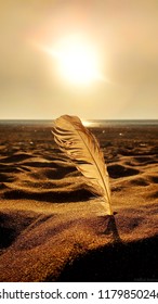 I Had Captured This Beautiful Feather At Sunset Time At My City's Dumas Beach.