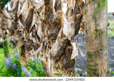 Similar – Image, Stock Photo Iceland Fish drying rack