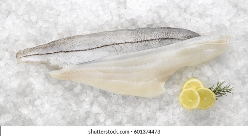 Haddock Fish Fillets