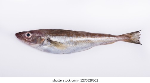 haddock deutsch haddock deutsch