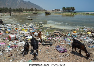 HADIBOH, SOCOTRA, YEMEN – MAY 1, 2019: Polluted Coastal Lagoon Serving As A Waste Dump 