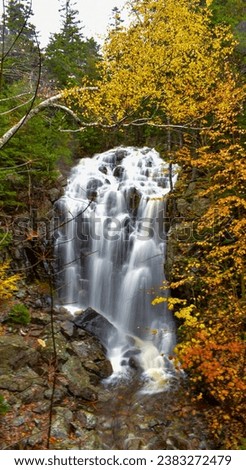 Hadlock Falls on a rainy fall day in Acadia National Park, Maine