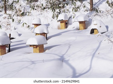 Hadong-gun, Gyeongsangnam-do, South Korea - February 1, 2006: Winter view native beehive with covers on snow covered ground at Cheonghak-dong
