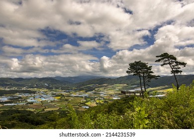 Haean-myeon, Yanggu-gun, Gangwon-do, South Korea - September 16, 2021: Summer View Of An Observatory With Pine Trees And Farming Villages With Houses And Field Near DMZ At Punch Bowl Basin
