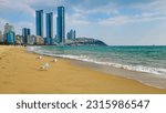 At Haeundae Beach in February, where Dalmaji Pass and skyscrapers are visible, three seagulls are watching the waves.