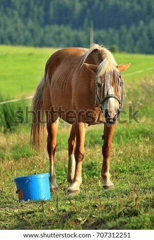 Similar – Image, Stock Photo Moldy Environment Nature