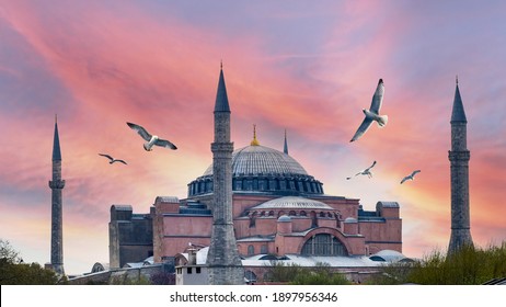Hagia Sophia is an ancient religion symbol of Istanbul at sunrise. Ayasofya was the greatest Christian temple of Byzantium Empire. Famous Turkish Mosque with foth minarets and birds over the dome.