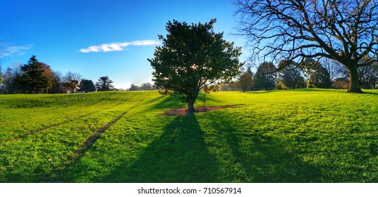 Hagley Park Christchurch