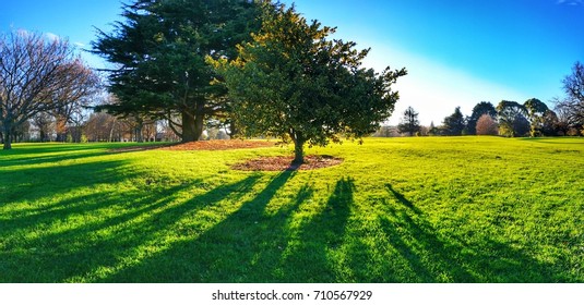 Hagley Park Christchurch