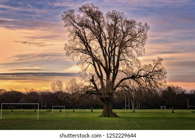 Hagley Park, Christchurch, New Zealand