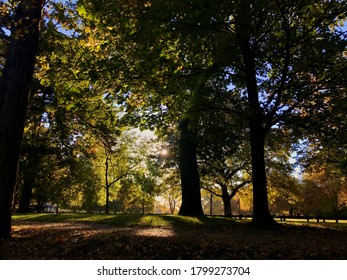 Hagley Park Christchurch New Zealand