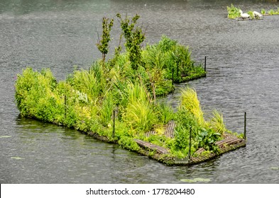 The Hague, The Netherlands, June 27, 2020: small artifiical floating island with lush vegetation in an old harbour basin in Laakhaven neighbourhood