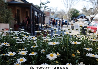 The Hahndorf Main Street, Adelaide Hills, South Australia.