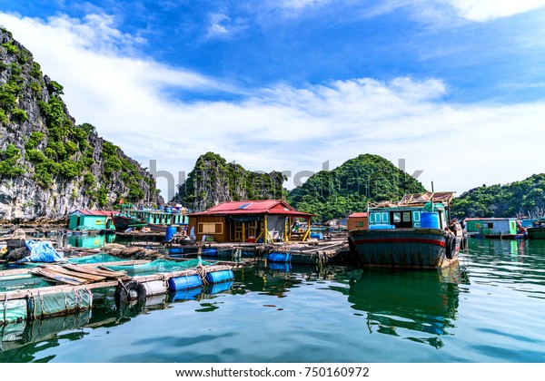 Hai Phong Vietnam Sep 23 2017 Stock Photo (Edit Now) 750160972