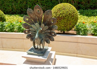 Haifa, Israel / June 21, 2019: Bahai Gardens. The Terraces Of The Bahai Faith, Also Known As The Hanging Gardens Of Haifa, Are Garden Terraces Around The Shrine Of The Bab On Mount Carmel. Peacock.