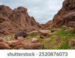 Hail City Saudi Arabia  land marks and nature 