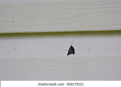 Hail Damage On Vinyl Siding Of A House.