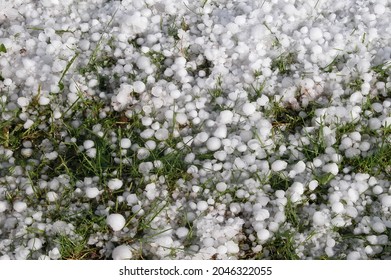 Hail in a garden after disastrous hailstorm