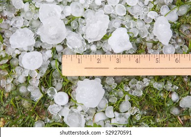 Hail in the grass and yardstick after a storm
