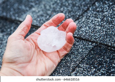 Hail in a hand after hailstorm