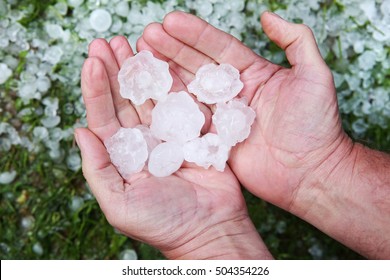 Hail in hands after hailstorm
