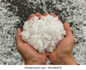 Hail In The Hands Of Man. Icy Peas. Disastrous Rainfall For Crop
