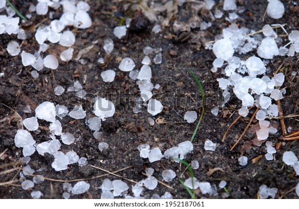 Hail ice balls covering, lying on the
ground after heavy hail storm. Poland, Europe 
