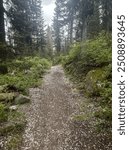 Hail on the trail, part of the scenery of Grand Teton National Park, on the Paintbrush Canyon trail.