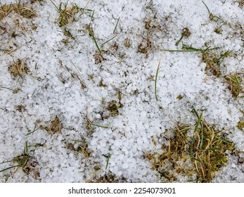 Hail or snow on green grass lawn, top view , weather concept. snow,Severe weather. Hail on lawn.bad weather in spring season - Shutterstock ID 2254073901