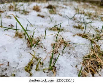 Hail or snow on green grass lawn, top view , weather concept. snow,Severe weather. Hail on lawn.bad weather in spring season - Shutterstock ID 2255825143