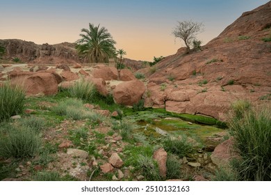 Hail Spring in Saudi Arabia 2023