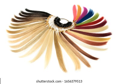 Hair Base Color Palette, Hair Samples Chart, Make Of Human Hair