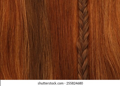 Hair And Braid Shown Vertically.