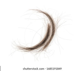 Hair Tuft Images Stock Photos Vectors Shutterstock