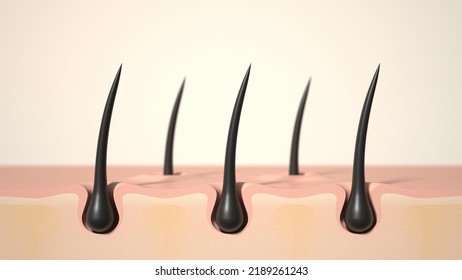 Hair care, Animation Nourish hair action of shampoo or serum. Concept Repair damaged hair. 3d rendering - Shutterstock ID 2189261243