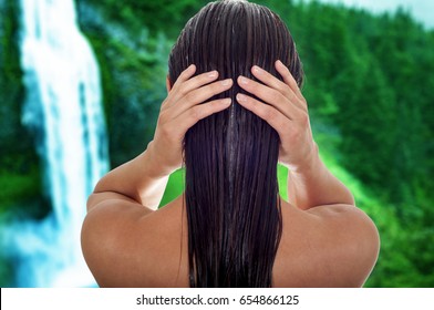 Hair Care Concept. Back View Of Woman With Long Wet Hair, Tropical Background